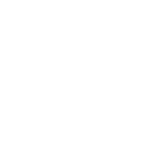 Icons8 whatsapp